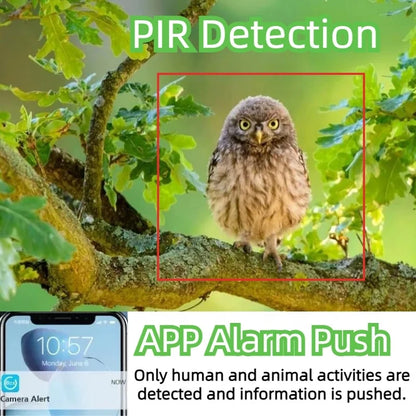 Camouflage Solar Hunting Camera 4MP IP PTZ Solar Wireless 4G SIM Card Security CCTV Outdoor Hunting 4G Solar Camera